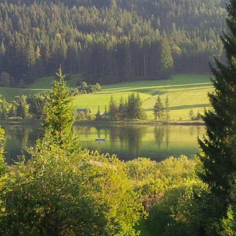 Seehaus Verena Weissensee Phòng bức ảnh